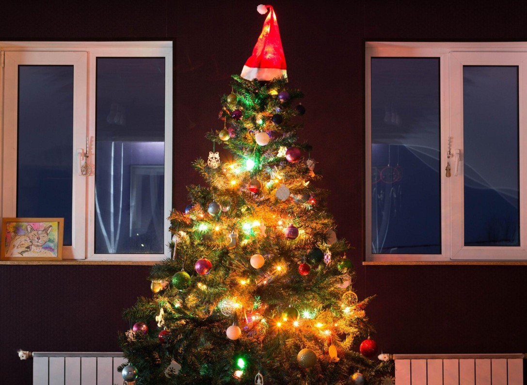 Bring Home a 9-Foot Christmas Tree for the Holidays
